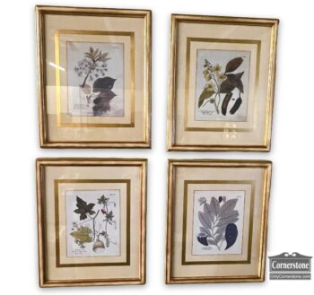 12663-24-Set of 4 Botanicals